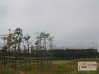 光明大第_深圳光明大第_楼盘详情_价格_图片