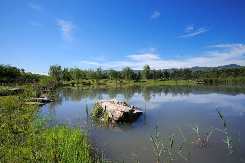 图为如园周边翠湖湿地公园实景照片