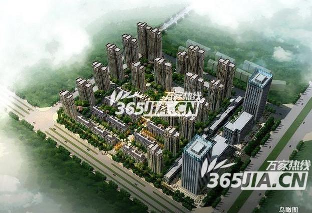 现在买房可以吗合肥 10724803.jpg