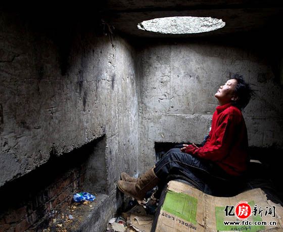 世界上最震撼蚁族 各种辛酸谁能懂?(组图)