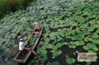 美芦庄园实景图图片