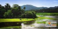 中信泰富神州半岛实景图图片