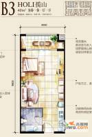 华银天鹅湖1室2厅1卫户型图