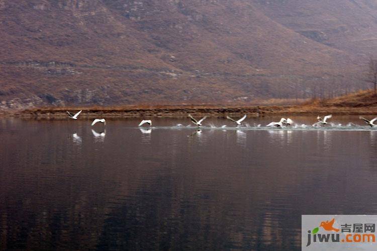 华银天鹅湖实景图图片