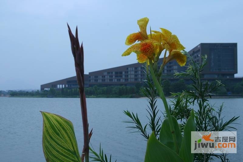 锦绣山河鹭栖湖实景图图片