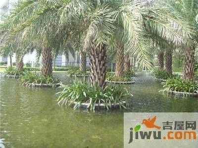 明丰东江府实景图图片