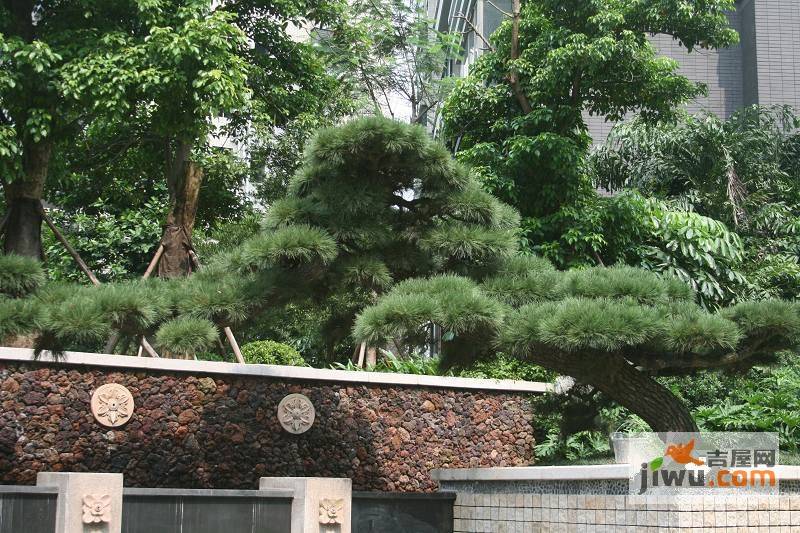 锦绣山河鹭栖湖实景图图片