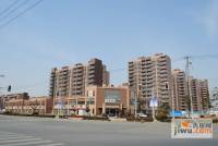 桃源艺筑实景图15