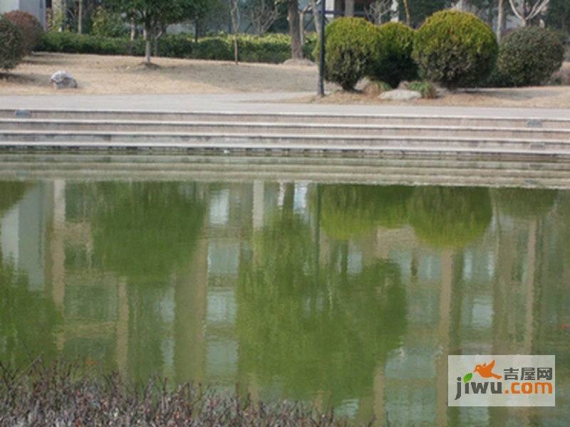 美岸栖庭实景图图片