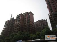 西上海名邸实景图图片