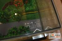 上海合生国际花园沙盘图图片