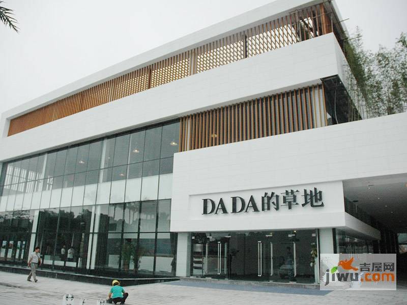 DADA的草地实景图图片