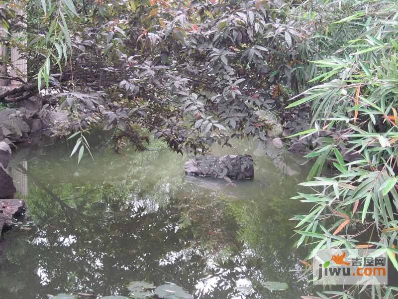 三重星都心实景图图片