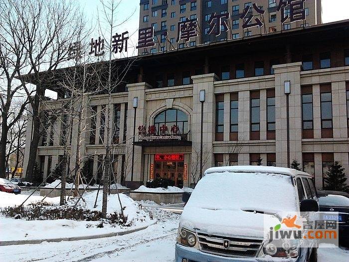 绿地新里摩尔公馆实景图图片