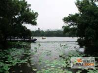 水流云在实景图图片