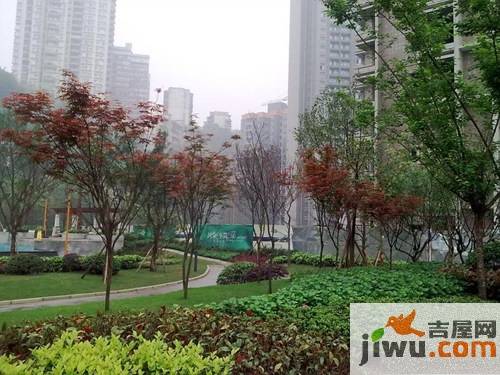 宝嘉江枫美岸实景图图片