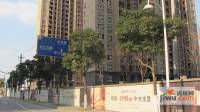 长江国际二期晶源实景图12