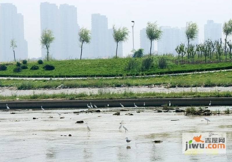 黄金家园实景图图片