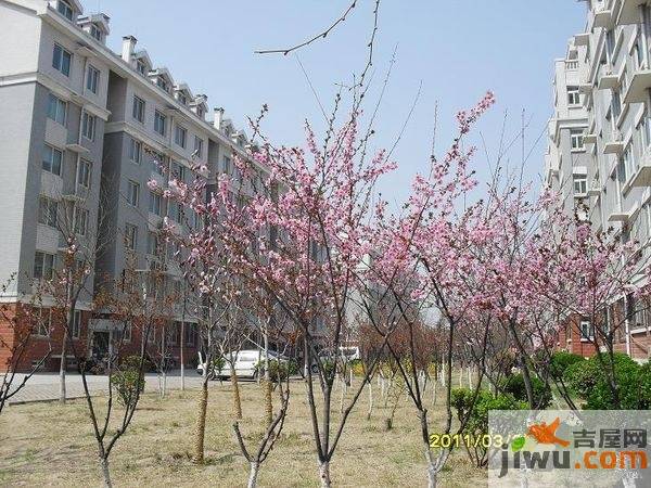 城投美里新居实景图图片