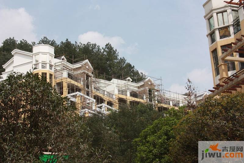 南山高地实景图57