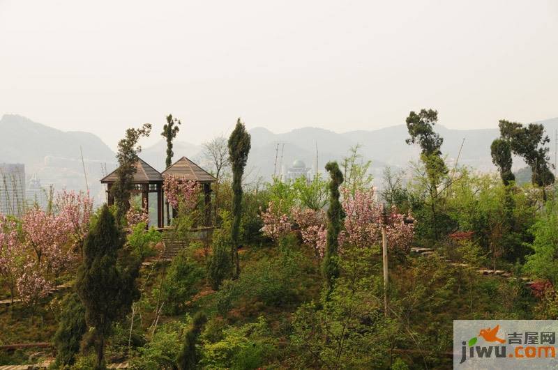 龙砚东山实景图图片