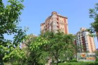 绿地长春上海城三期实景图图片