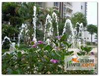 富和名都二期实景图图片