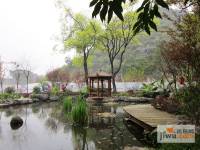 桂林留园实景图图片
