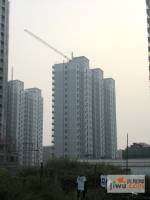 天伦锦城实景图图片