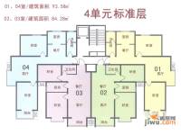 新天地自然康城三期2室2厅1卫84.3㎡户型图