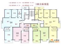 新天地自然康城三期1室1厅1卫66.1㎡户型图