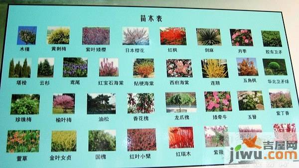 滨河花园实景图58