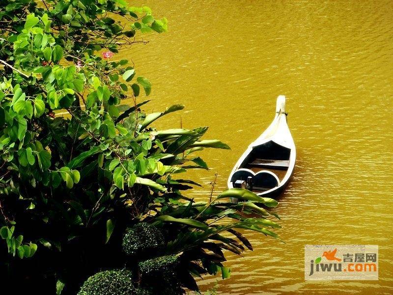 莱茵湖畔实景图图片