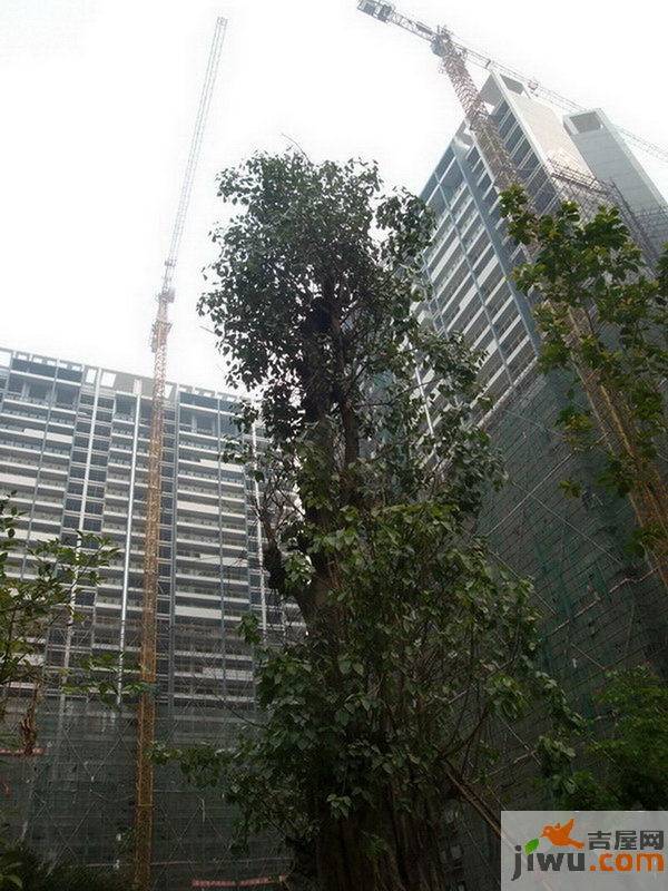 西建水岸华府实景图图片