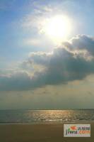 东方龙湾实景图图片