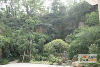 铭泰锦山实景图5