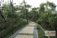铭泰锦山实景图5