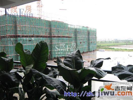 万威美地实景图图片