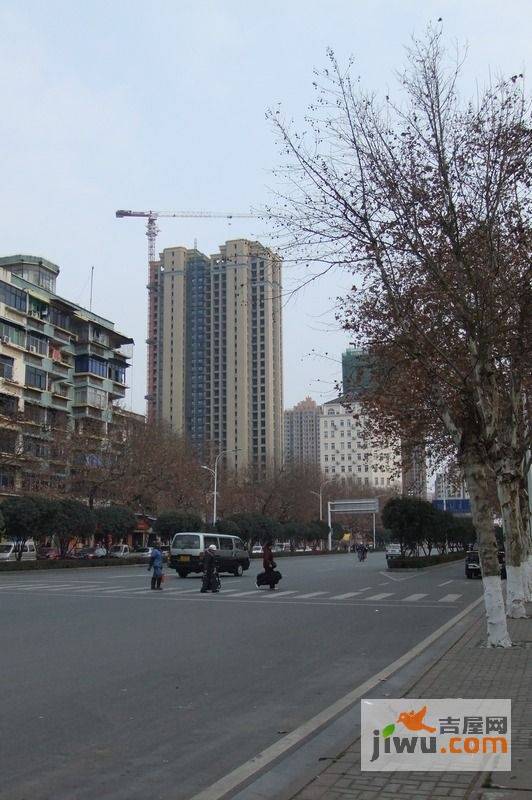 紫晶城观澜实景图图片