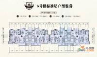 中廷森林公馆普通住宅512.4㎡户型图