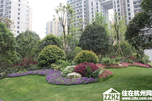 树亦有术:欣盛·东方福邸景观植被七法